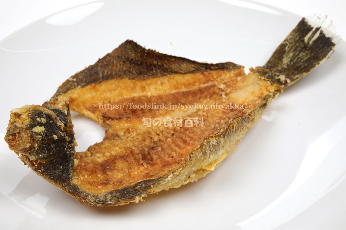 メイタガレイ 目板鰈 の目利きと料理 旬の魚介百科