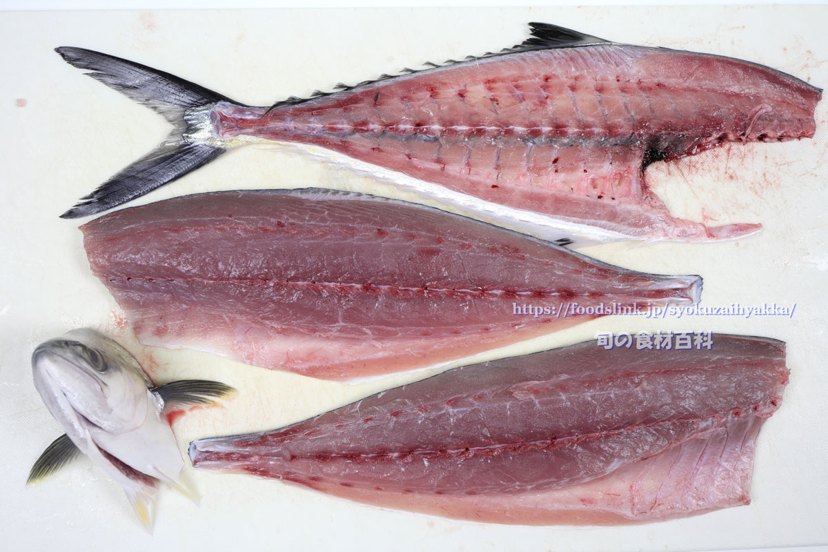 イケカツオ 逆鉤鰹 の目利きと料理 旬の魚介百科