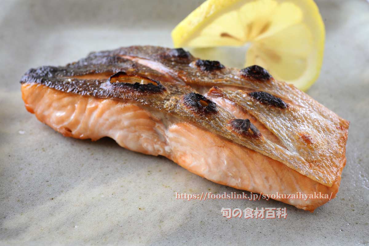 サクラマス 桜鱒 の目利きと料理 旬の魚介百科