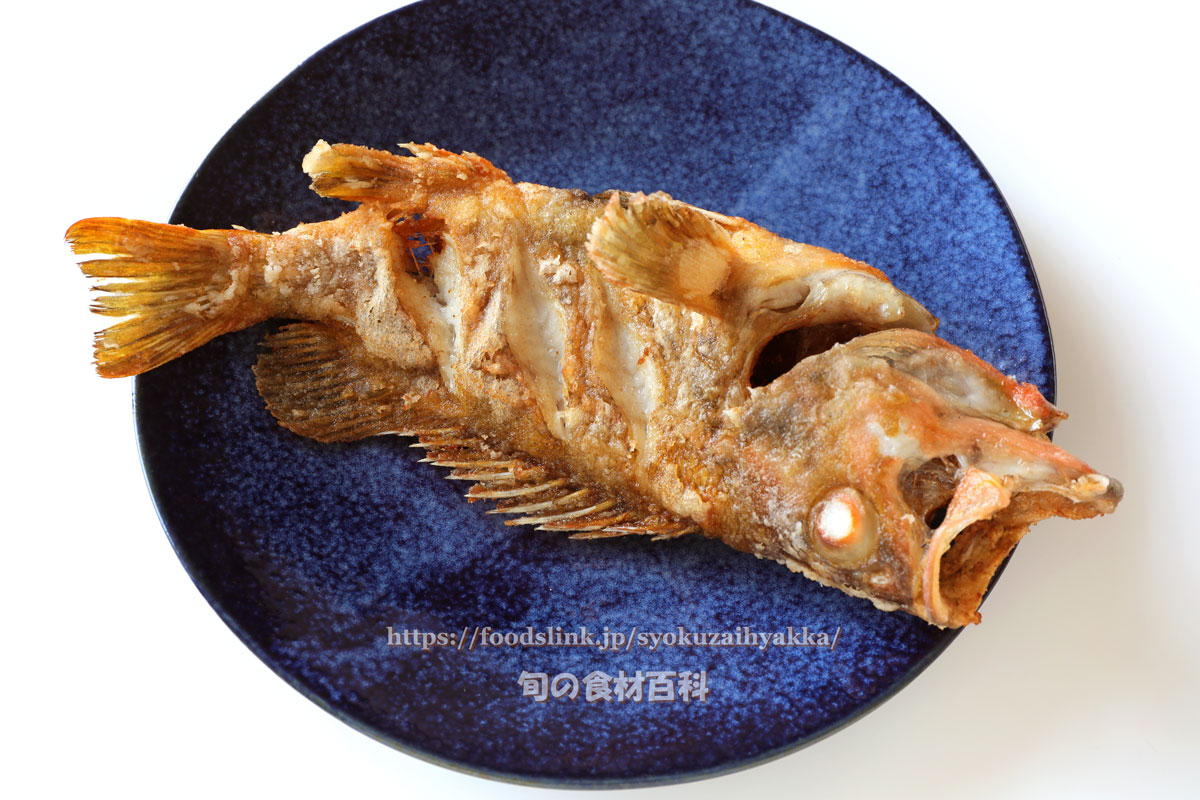 ヤナギノマイ 柳の舞 の目利きと料理 旬の魚介百科