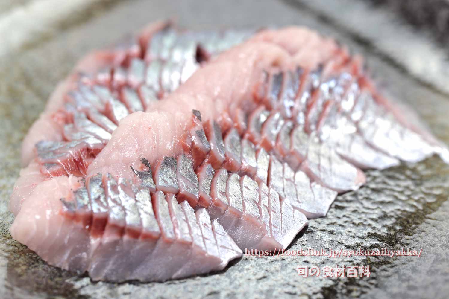 ニシン 鰊 鯡 にしんの目利きと料理 旬の魚介百科