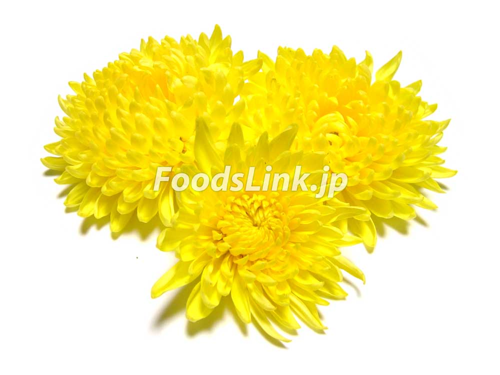写真で見る黄色い阿房宮系２ 食用菊 旬の野菜百科