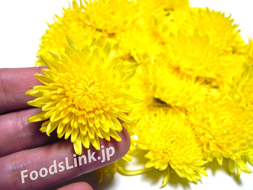 写真で見る黄色い阿房宮系２ 食用菊 旬の野菜百科
