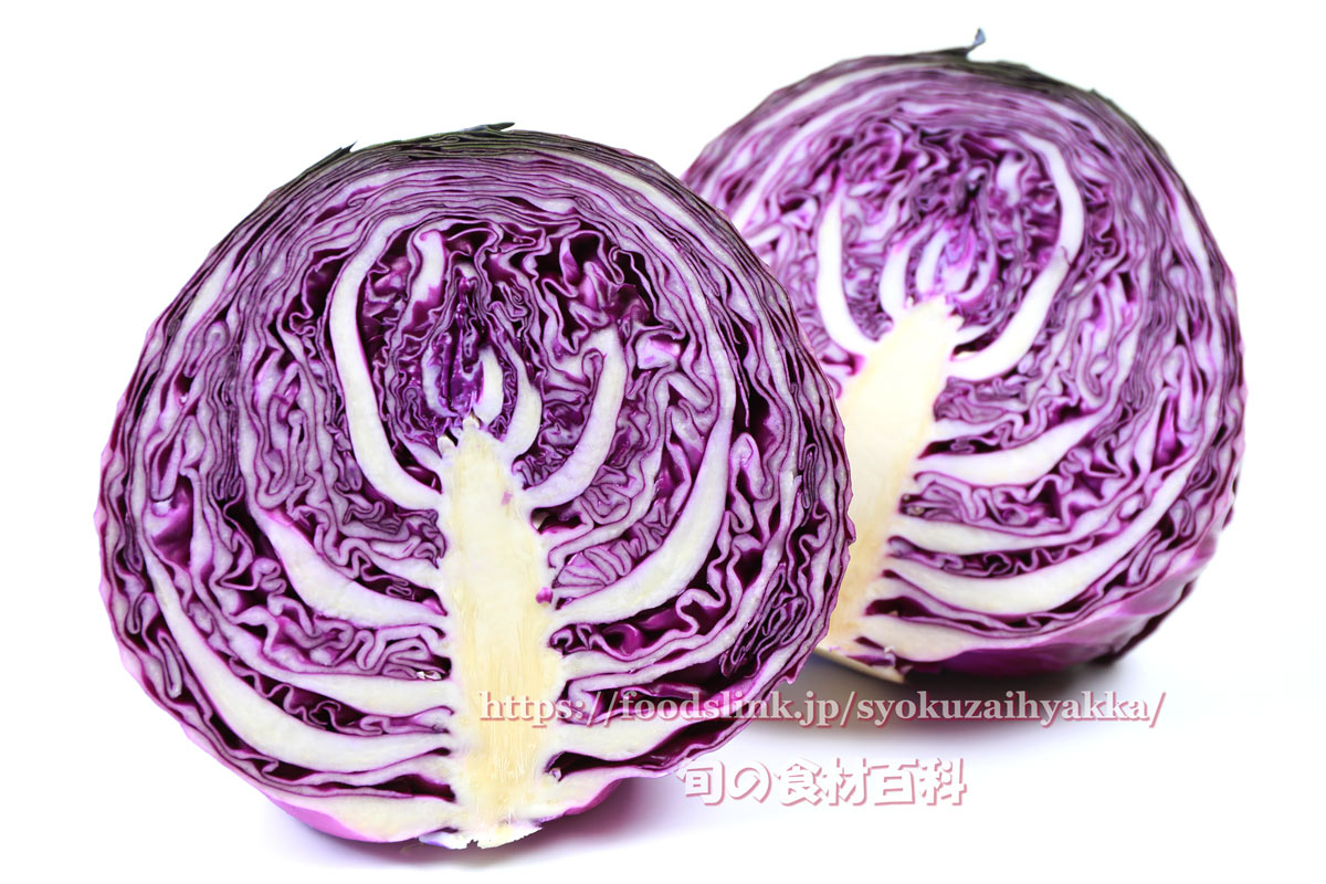 写真で見る紫キャベツ 赤きゃべつ キャベツの品種 旬の野菜百科