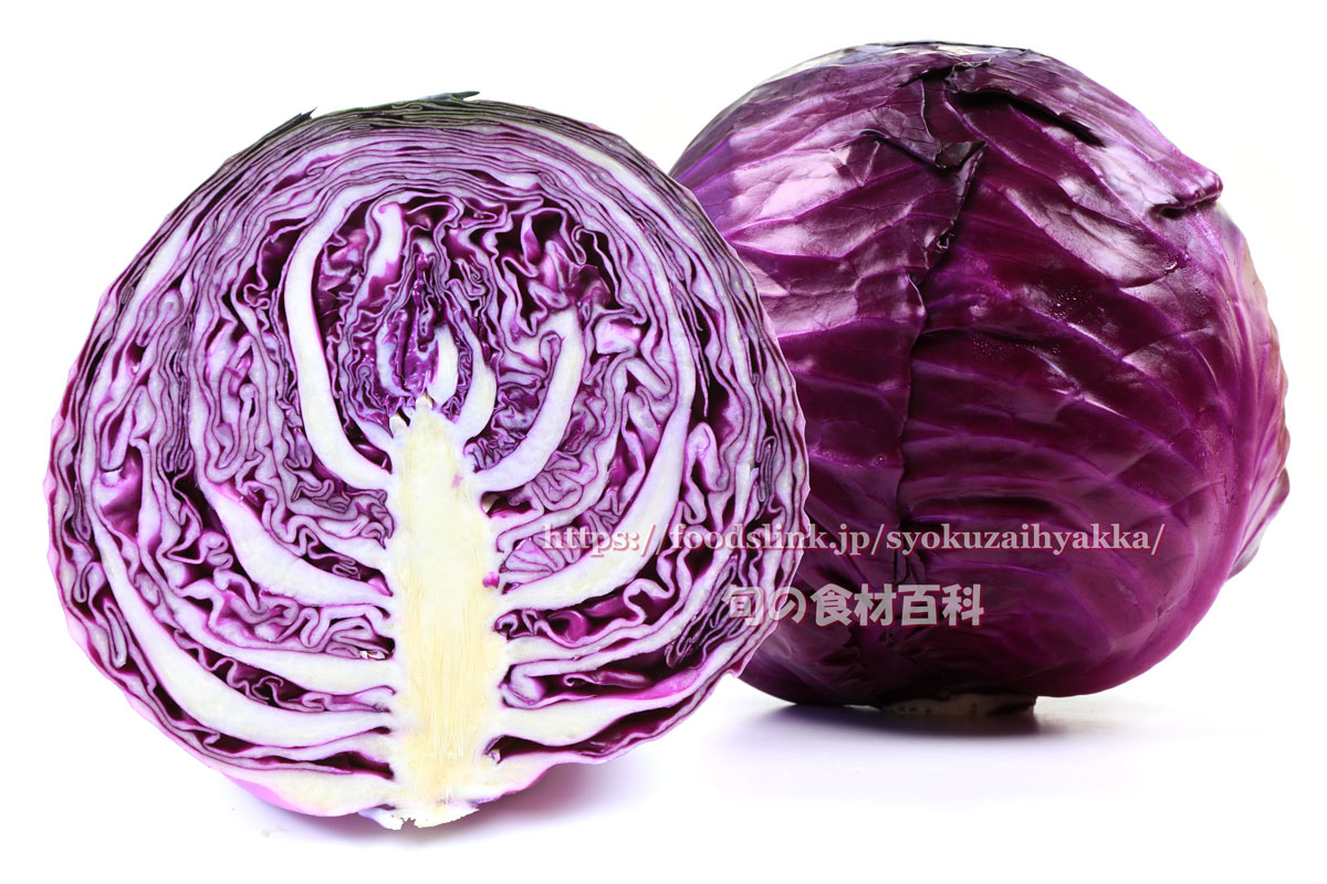 紫キャベツ 赤きゃべつの選び方と保存方法や料理 旬の野菜百科