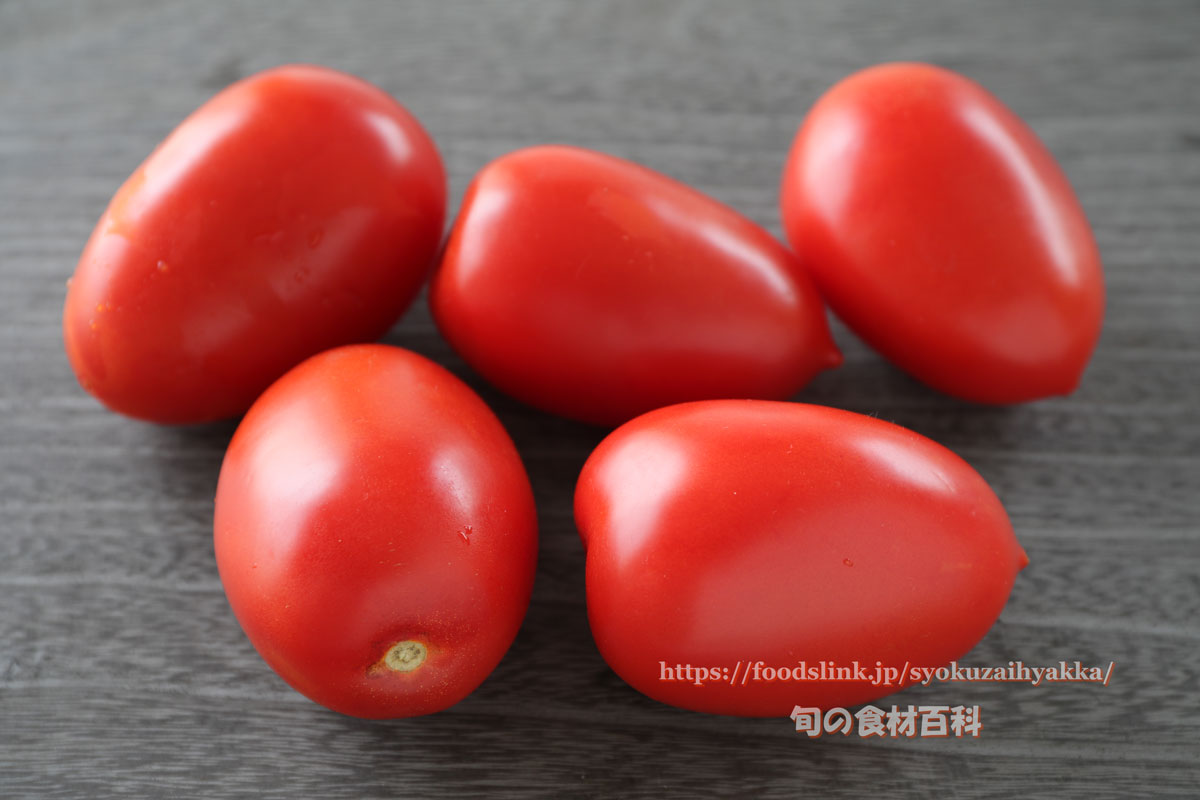 写真で見るローマ イタリアントマト 旬の野菜百科