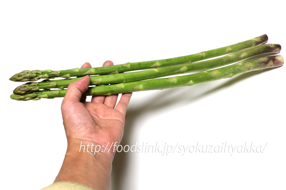 ロングアスパラガス「さぬきのめざめ」の特徴と写真：旬の野菜百科
