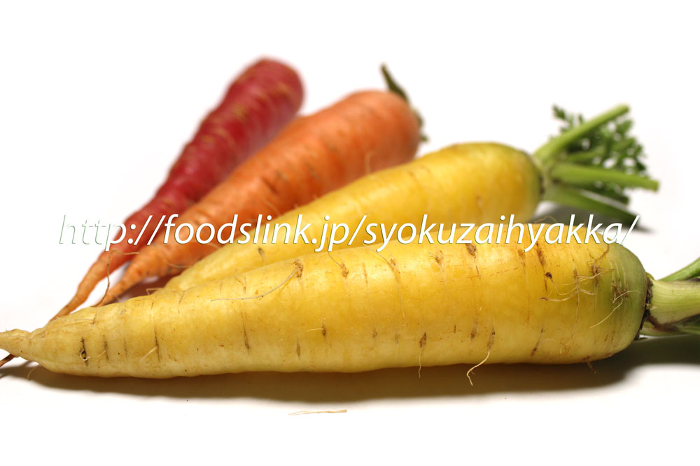 金時ニンジン（京人参）の特徴と写真ギャラリー：旬の野菜百科