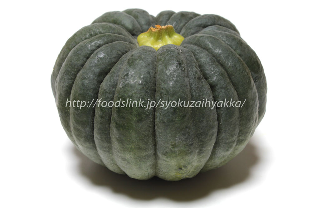 小菊南瓜 こぎくかぼちゃの画像一覧 旬の野菜百科