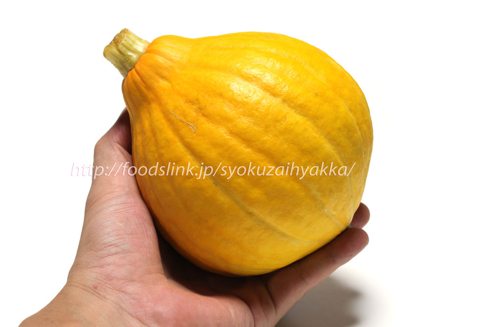 コリンキー かぼちゃの品種 旬の野菜百科
