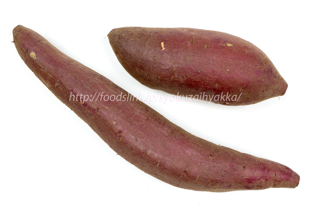 写真で見るサツマイモの品種 シルクスイート 旬の野菜百科