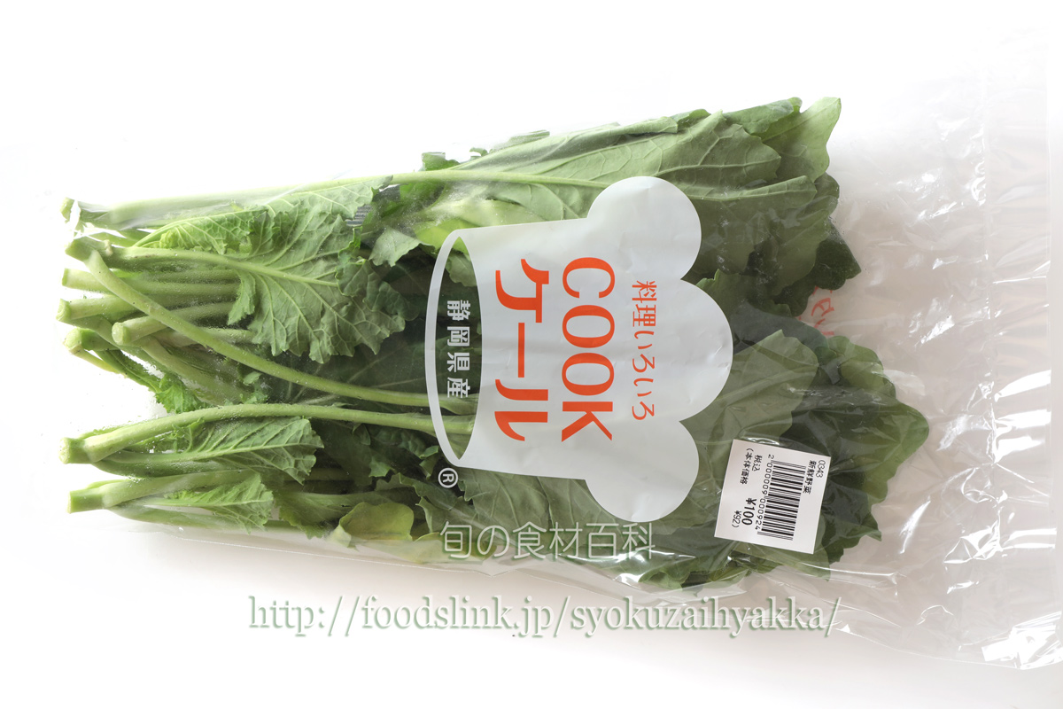 コラード系ケール／Collard Kaleの画像一覧：旬の野菜百科
