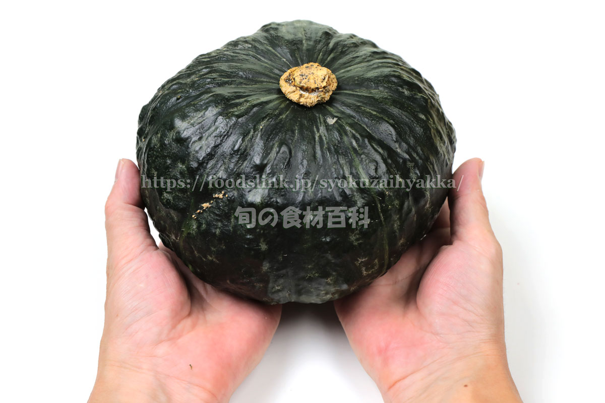 黒皮栗南瓜 くろかわくりかぼちゃ 西洋カボチャの品種 旬の野菜百科