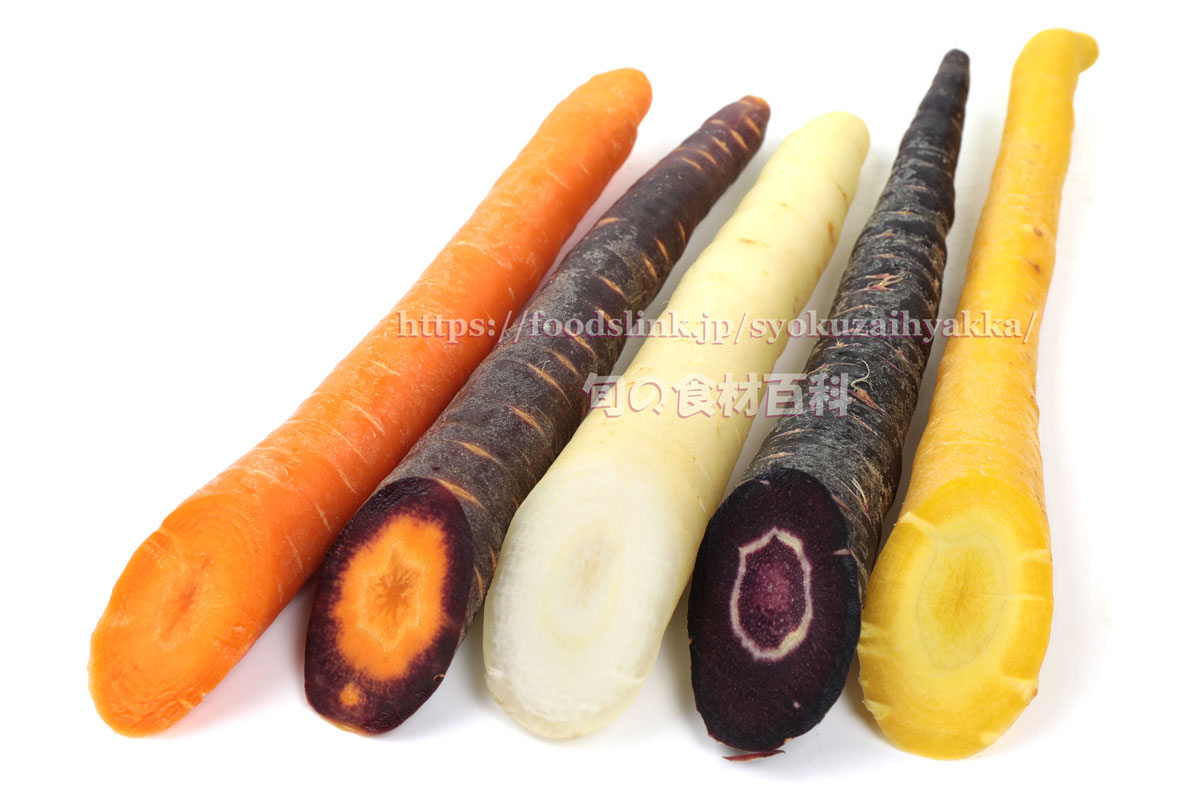 写真で見る５色のスティックタイプニンジン 旬の野菜百科