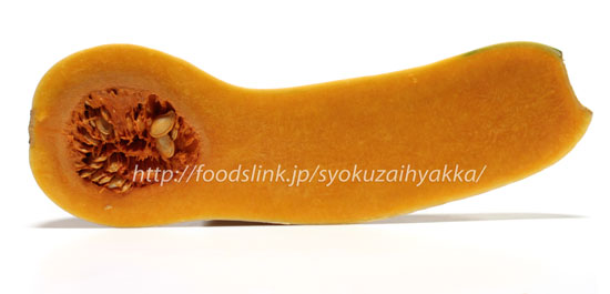 バターナッツ・スカッシュ＜かぼちゃの品種