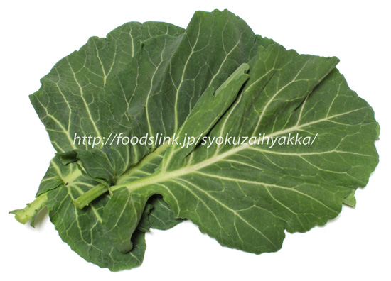 ケール Kale 旬の野菜百科