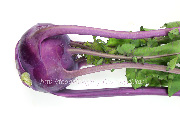 葉付きの紫コールラビ