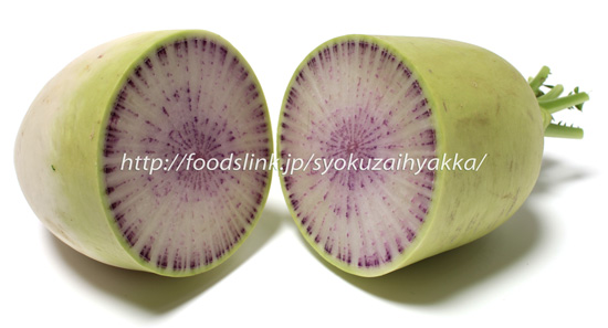 紫大根 紫だいこん 赤いダイコン 旬の野菜百科