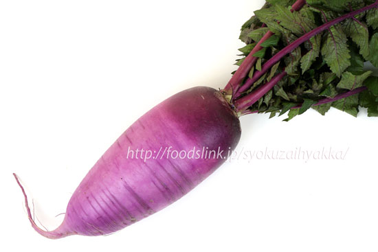 味いちばん 紫 赤い大根の品種 旬の野菜百科