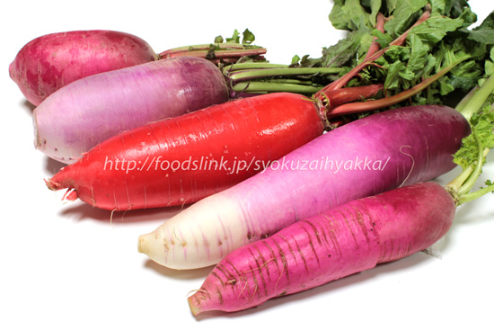 赤いダイコン 赤大根 紅大根の主な品種一覧 旬の野菜百科
