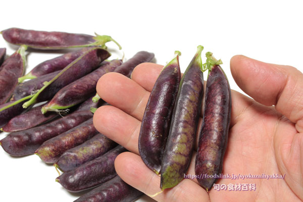 ツタンカーメンのエンドウ豆 紫えんどう 旬の野菜百科