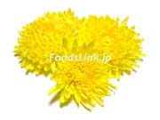 黄色い阿房宮系の食用菊