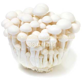 ブナピー／ホワイトブナシメジの画像一覧：旬の野菜百科