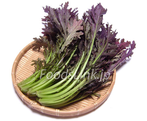 ムラサキミズナ 紫水菜 紫みずな 旬の野菜百科