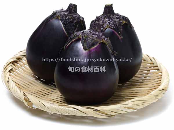 小森茄子（こもりなす） 信州伝統野菜