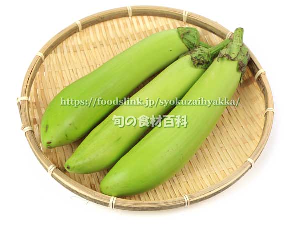 青長茄子／青長なす