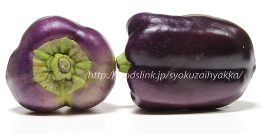 紫ピーマン：パープルビューティー／Purple Beauty Pepper