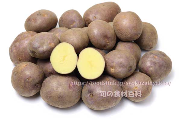 紫月（しづき）,ジャガイモ,馬鈴薯