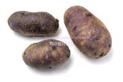 タワラマゼラン,ジャガイモ,馬鈴薯