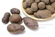 タワラマゼラン,ジャガイモ,馬鈴薯