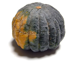 カボチャ 南瓜 かぼちゃ の選び方と保存方法 旬の野菜百科