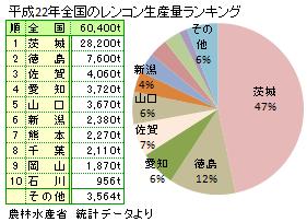 レンコン 蓮根 れんこん 旬の野菜百科