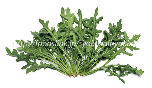 セルバチコ／ワイルドルッコラ