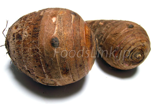 セレベス 里芋 の写真ギャラリー 旬の野菜百科