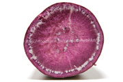 なかむらさき／ナカムラサキ（紫芋）＜サツマイモ