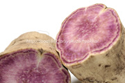 種子島紫（紫芋）の断面