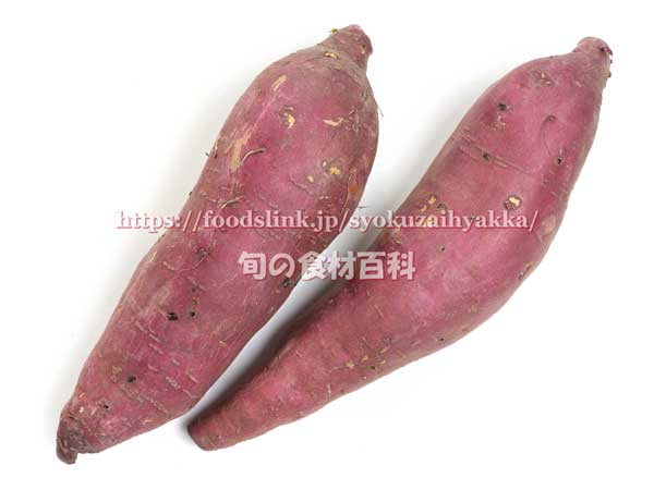 あまはづき　アマハヅキ　さつまいも