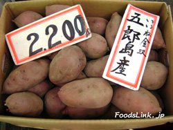 五郎島金時,加賀野菜,さつまいも,サツマイモ,唐いも,薩摩芋