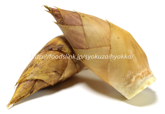 鹿児島県産 早掘り筍の画像一覧：旬の野菜百科