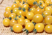 イエローグレープトマト／Yellow-Grape：ミニトマト