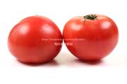 紅しきぶ（りんか409）トマト
