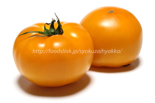 橙黄色のトマト 桃太郎ゴールド：旬の野菜百科