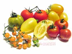 トマトの品種一覧