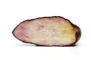 紫色のダイジョ／大薯／台湾山芋