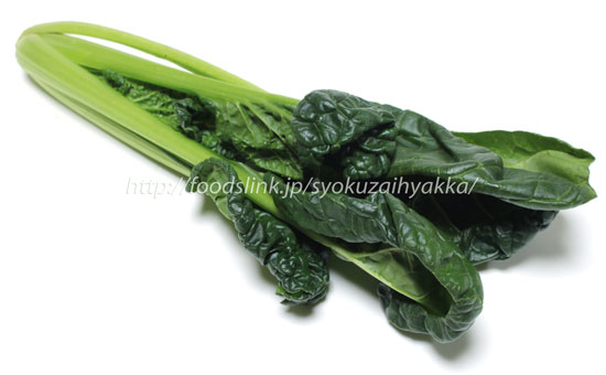 ちぢみゆきな チヂミユキナ 雪菜の栄養価と効用 旬の野菜百科